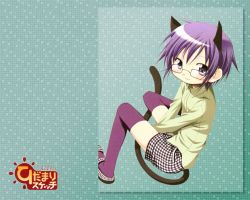Rule 34 | 1girl, animal ears, aoki ume, cat ears, cat tail, glasses, hidamari sketch, official art, purple thighhighs, sae (hidamari sketch), shirt, shoes, shorts, sitting, smile, solo, t-shirt, tail, thighhighs, v arms