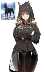 Rule 34 | 1girl, absurdres, animal collar, animal ears, arms behind back, azz0422, belt, black pants, breasts, brown hair, collar, commentary, cowboy shot, doberman, dog ears, dog girl, emblem, english commentary, epaulettes, expressionless, gradient hair, hair bun, half-skirt, highres, jacket, large breasts, long sleeves, looking at viewer, medal, medium hair, military, military jacket, military uniform, mixed-language commentary, multicolored hair, original, overskirt, pants, personification, photo-referenced, reference inset, see-through, see-through skirt, skirt, solo, thigh gap, uniform, white background