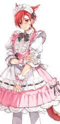 Rule 34 | 1boy, alternate costume, animal ears, apron, black bow, black bowtie, blush, bow, bowtie, braid, braided ponytail, brooch, cat boy, cat ears, cat tail, center frills, collared dress, commentary request, crossdressing, dress, embarrassed, enmaided, facial mark, feet out of frame, final fantasy, final fantasy xiv, frilled dress, frills, g&#039;raha tia, hand on own arm, highres, jewelry, korean commentary, looking at viewer, maid, maid apron, maid headdress, male focus, miqo&#039;te, neck tattoo, pantyhose, pink dress, red eyes, short hair, simple background, single braid, solo, standing, swept bangs, tail, tattoo, twitter username, white apron, white background, white pantyhose, wild5lee, wrist cuffs