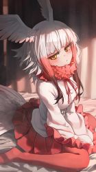 Rule 34 | 1girl, bed sheet, bird tail, bird wings, blunt bangs, blush, brown hair, commentary, curtains, expressionless, frilled sleeves, frills, fur collar, head wings, highres, japanese crested ibis (kemono friends), kemono friends, long hair, long sleeves, looking at viewer, melaton, multicolored hair, no shoes, on bed, pantyhose, parted lips, red hair, red pantyhose, red skirt, shade, shirt, sidelocks, sitting, skirt, solo, tail, wariza, white hair, white shirt, wide sleeves, wings, yellow eyes