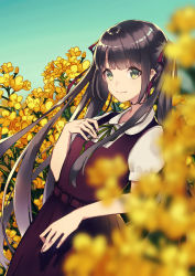 Rule 34 | 1girl, aqua background, belt, belt buckle, blunt bangs, blurry, blurry foreground, blush, brown hair, buckle, closed mouth, collared shirt, cowboy shot, depth of field, dress, dutch angle, flower, gradient background, green eyes, green ribbon, hair ribbon, hand on own chest, kusaka kou, looking at viewer, original, pinafore dress, purple dress, rapeseed blossoms, red ribbon, ribbon, shirt, short sleeves, sleeveless dress, smile, solo, standing, white shirt, yellow flower