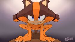 Rule 34 | absurdres, breasts, evil grin, evil smile, excito, forced, girl on top, grin, highres, pov, pussy, small breasts, smile, sonic (series), sonic boom (series), sticks the badger