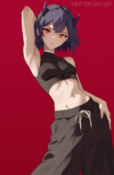 Rule 34 | 1girl, absurdres, alternate costume, arm up, armpits, bare arms, bare shoulders, black clover, black hair, black pants, breasts, commentary, cropped shirt, highres, horns, izei1337, looking at viewer, medium breasts, navel, pants, red background, red eyes, secre swallowtail, shirt, short hair, sleeveless, sleeveless shirt, small breasts, solo, stomach, twitter username