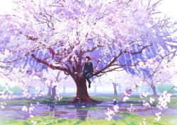Rule 34 | 1girl, backlighting, black pantyhose, blue serafuku, blue skirt, cherry blossoms, commentary request, day, grass, in tree, loafers, long sleeves, looking to the side, mocha (cotton), original, pantyhose, petals, puddle, sailor collar, scenery, school uniform, serafuku, shoes, sitting, sitting in tree, skirt, solo, spring (season), tree, wide shot