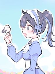 Rule 34 | 1girl, :d, ahoge, ascot, bird, bird on hand, black hair, blue bow, blue dress, blue eyes, blue gemstone, blue hair, blue hairband, blue sky, blush, bow, brooch, cloud, collared dress, crossed bangs, day, dress, earrings, frilled hairband, frilled sash, frilled sleeves, frills, gem, hair between eyes, hair bow, hairband, hand up, high ponytail, highres, honkai (series), honkai impact 3rd, jewelry, juliet sleeves, long hair, long sleeves, multicolored hair, open mouth, outdoors, outline, ponytail, profile, puffy sleeves, sash, seele vollerei, sidelocks, sky, smile, solo, streaked hair, upper body, velcozz, white ascot, white outline, white sash, wing collar