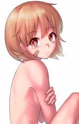 Rule 34 | 10s, 1girl, bandaid, bandaid on face, brown hair, kantai collection, looking at viewer, nude, oboro (kancolle), ranma (kamenrideroz), red eyes, simple background, solo, white background