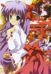 Rule 34 | 1girl, absurdres, autumn, autumn leaves, bow, green eyes, hair bow, highres, japanese clothes, leaf, long hair, mikeou, miko, purple hair, red bow, ribbon-trimmed sleeves, ribbon trim, shrine, temple, torii