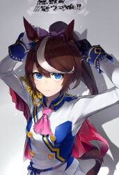 Rule 34 | + +, 1girl, absurdres, animal ears, ascot, asymmetrical gloves, black gloves, blue eyes, bow, breasts, brown hair, closed eyes, collared jacket, epaulettes, gloves, hair bow, highres, horse ears, horse girl, horse tail, jacket, long hair, long sleeves, looking at viewer, mismatched gloves, multicolored hair, oshiri seijin, pink ascot, ponytail, shadow, side cape, single epaulette, small breasts, solo, streaked hair, tail, tokai teio (umamusume), tying hair, umamusume, upper body, white gloves, white jacket