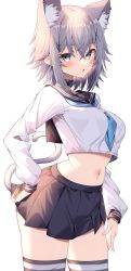 Rule 34 | 1girl, absurdres, animal ears, black choker, black skirt, black thighhighs, blue eyes, breasts, cat ears, cat girl, cat tail, choker, commission, contrapposto, cowboy shot, crop top, crop top overhang, extra ears, grey hair, hair ornament, hand on own hip, highres, jun (aousa0328), long sleeves, looking at viewer, medium breasts, midriff, miniskirt, navel, neckerchief, original, parted lips, pleated skirt, sailor collar, school uniform, serafuku, shirt, short hair, sidelocks, simple background, skeb commission, skirt, solo, standing, stomach, tail, thighhighs, thighs, white background, white shirt, x hair ornament, zettai ryouiki