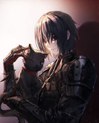 Rule 34 | androgynous, animal, armor, black armor, black cat, black hair, cat, city guard (infukun), commentary request, facial mark, forehead mark, gauntlets, gender request, hair between eyes, holding, holding animal, holding cat, looking at viewer, male focus, parted lips, pixiv fantasia, pixiv fantasia last saga, red eyes, ryuuzaki ichi, short hair, shoulder armor, solo, tail