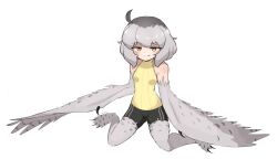 Rule 34 | 1girl, ahoge, bare shoulders, bird legs, black shorts, blush, breasts, feathered wings, grey feathers, grey hair, grey wings, harpy, highres, looking at viewer, medium hair, mono (sifserf), monster girl, original, owl girl, shorts, sifserf, simple background, small breasts, smile, sweater, sweater vest, talons, turtleneck, turtleneck sweater, white background, winged arms, wings, yellow eyes, yellow sweater vest