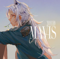 Rule 34 | 1girl, animal ears, arknights, artist name, blue jacket, brown eyes, dated, day, highres, indra (arknights), jacket, long hair, mavis fuji, mouth hold, outdoors, painting (medium), profile, scar, scar on face, silver hair, solo, tiger ears, traditional media, upper body, watercolor (medium)