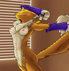 Rule 34 | 1girl, animal ears, arched back, arm warmers, armpits, arms up, artist request, between breasts, breasts, claws, clenched hand, clitoris, closed eyes, digimon, digimon (creature), facial mark, fangs, female focus, furry, furry female, hip focus, indoors, long image, navel, nipples, nude, outstretched arms, pussy, renamon, solo, standing, stretching, sunlight, tail, tall image, teeth, wall, window blinds, yawning