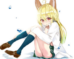 Rule 34 | 1girl, animal ears, bad id, bad pixiv id, blonde hair, covering privates, covering breasts, dog ears, elin, kneehighs, knees to chest, legs, long hair, no tail, open clothes, open shirt, red eyes, school uniform, shirt, sitting, skirt, socks, solo, tera online, yuuuuu (magia-mami)