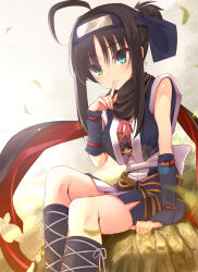Rule 34 | 1girl, ahoge, arm at side, black hair, black scarf, black socks, blue gloves, blue kimono, blurry, blush, breasts, closed mouth, commentary request, cross-laced footwear, day, depth of field, eyelashes, eyes visible through hair, falling leaves, feet out of frame, finger to mouth, fingerless gloves, floating clothes, folded ponytail, forehead protector, gloves, green eyes, hair between eyes, hand up, highres, hitachi mako, index finger raised, japanese clothes, kimono, knee up, large breasts, leaf, lens flare, looking at viewer, nazo no murasame chiaki, ninja, outdoors, pink ribbon, ribbon, rock, sash, scarf, senren banka, short hair with long locks, short kimono, shushing, sidelighting, sidelocks, sitting, sitting on rock, sleeveless, sleeveless kimono, smile, socks, solo, white sash