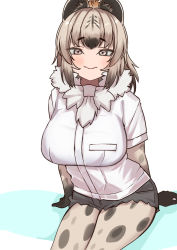 Rule 34 | 1girl, a888 n22, animal ears, animal print, black hair, blush, bodystocking, breasts, brown hair, closed mouth, cutoffs, fur collar, grey hair, hand rest, highres, hyena ears, kemono friends, large breasts, layered sleeves, long hair, long sleeves, looking at viewer, multicolored hair, no nose, pocket, shirt, short over long sleeves, short shorts, short sleeves, shorts, sitting, solo, spotted hyena (kemono friends), taut clothes, taut shirt, white shirt
