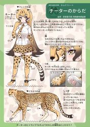 Rule 34 | 1girl, blonde hair, brown hair, cheetah, cheetah (kemono friends), cheetah ears, cheetah girl, cheetah print, cheetah tail, close-up, collared shirt, elbow gloves, extra ears, full body, gloves, highres, information sheet, kemono friends, long hair, looking at viewer, multicolored hair, necktie, paw print soles, pleated skirt, print gloves, print necktie, print skirt, print thighhighs, shirt, short sleeves, sidelocks, skirt, solo, tanaka kusao, thighhighs, translation request, two-tone hair, white shirt, yellow eyes, zettai ryouiki
