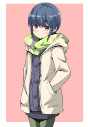 Rule 34 | 1girl, aikawa ryou, blue hair, blush, border, brown pantyhose, cardigan, closed mouth, commentary request, hair bun, hands in pockets, highres, jacket, long hair, long sleeves, looking at viewer, open clothes, pantyhose, pink background, purple eyes, scarf, shima rin, short hair, single hair bun, skirt, solo, standing, striped clothes, striped scarf, white border, winter clothes, yurucamp