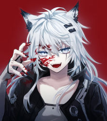 Rule 34 | 1girl, animal ear fluff, animal ears, arknights, black nails, blood, blood on face, blood on hands, claw pose, collarbone, elbow gloves, fingerless gloves, gloves, grey eyes, hair ornament, hairclip, hand up, highres, jacket, lappland (arknights), long hair, messy hair, nail polish, open clothes, open jacket, open mouth, red background, scar, scar across eye, seki mitsu, sharp teeth, solo, teeth, upper body, white hair, wolf ears, wolf girl