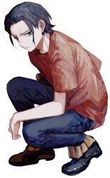 Rule 34 | 1boy, aged down, androgynous, black eyes, black hair, child, crocodile (one piece), hair slicked back, highres, looking at viewer, male focus, one piece, red shirt, shirt, short hair, short sleeves, simple background, solo, squatting, white background, yadu nadu