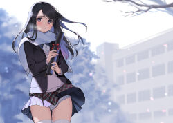 Rule 34 | 1girl, black hair, blazer, blush, cherry blossoms, closed mouth, clothes lift, diploma, floating hair, gin (oyoyo), graduation, highres, holding diploma, jacket, long hair, long sleeves, original, outdoors, panties, pantyshot, petals, pink eyes, plaid, plaid skirt, pleated skirt, scarf, school uniform, skirt, skirt lift, solo, standing, sweater vest, thighhighs, tube, underwear, upskirt, white panties, white scarf, white thighhighs, wind, wind lift