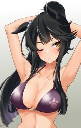 Rule 34 | 1girl, animal ears, armpits, arms behind head, arms up, bandaid, bandaid on face, bandaid on nose, bare arms, bikini, black hair, blush, breasts, collarbone, commentary request, gradient background, grey background, hair tie in mouth, halterneck, head tilt, highres, horse ears, komb, large breasts, long hair, mouth hold, narita brian (umamusume), navel, partial commentary, paw print, ponytail, purple bikini, solo, stomach, swimsuit, umamusume, upper body, yellow eyes
