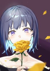Rule 34 | 1girl, bare shoulders, black dress, blue hair, collarbone, commentary, covered mouth, dress, english commentary, eyebrows hidden by hair, flower, hand up, head tilt, highres, holding, holding flower, kooan, looking at viewer, multicolored hair, nail polish, off-shoulder dress, off shoulder, original, petals, purple eyes, purple nails, rose, short hair, solo, tears, two-tone hair, water drop, wet, yellow flower, yellow rose