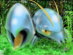 Rule 34 | antennae, black eyes, clauncher, colored sclera, creatures (company), dew drop, game freak, gen 6 pokemon, grass, green background, half-closed eyes, japanese text, looking at viewer, nintendo, no humans, outdoors, pokemon, pokemon (creature), solo, sunaxet, translation request, water drop, watermark, yellow sclera