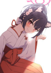 Rule 34 | 1girl, afnroll, alternate hairstyle, animal ear fluff, animal ears, black hair, blue archive, blush, cat ears, closed mouth, hakama, hakama skirt, halo, hand up, highres, japanese clothes, long hair, long sleeves, looking at viewer, miko, official alternate costume, ponytail, red eyes, red hakama, red skirt, serika (blue archive), serika (new year) (blue archive), simple background, skirt, solo, white background, wide sleeves
