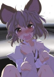 Rule 34 | 1girl, animal ears, blush, female focus, grey hair, ishikkoro, looking at viewer, mouse ears, nazrin, open mouth, pov, short hair, solo focus, touhou