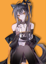 Rule 34 | 0 (znanimo), 1girl, ahoge, animal ears, arknights, black hair, commentary, highres, knees together feet apart, long hair, looking at viewer, side ponytail, simple background, sleeves past wrists, solo, tail, texas (arknights), wolf ears, wolf girl, wolf tail, yellow background, yellow eyes