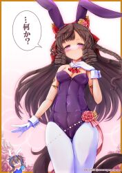 Rule 34 | absurdres, alternate costume, animal ears, bow, breasts, cellphone, cleavage, closed mouth, commentary request, daiichi ruby (umamusume), daitaku helios (umamusume), dated, flower, gloves, hair bow, hair ornament, highres, horse girl, horse tail, looking at viewer, nontraditional playboy bunny, pantyhose, phone, purple eyes, rabbit ears, rururugegegege, small breasts, tail, translation request, twitter username, umamusume