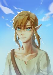 Rule 34 | 1boy, blue eyes, brown shirt, cloud, collarbone, day, earrings, highres, jewelry, link, looking at viewer, male focus, nintendo, outdoors, pointy ears, ponytail, psp26958748, shirt, solo, the legend of zelda, the legend of zelda: breath of the wild, upper body