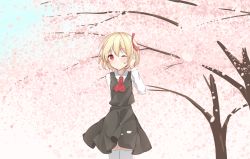 Rule 34 | 1girl, arm behind back, arm up, ascot, black skirt, black vest, blonde hair, blue sky, blush, cherry blossoms, day, hair between eyes, hair ribbon, hand in own hair, hand on own head, highres, hino (yuruyurukoubou), long sleeves, looking at viewer, one eye closed, outdoors, petals, red ascot, red eyes, ribbon, rumia, shirt, short hair, skirt, sky, solo, standing, thighhighs, touhou, tree, vest, white shirt, white thighhighs, wind, wind lift