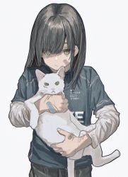 Rule 34 | 1girl, absurdres, animal, bandaid, bandaid on cheek, bandaid on face, bandaid on hand, black hair, blue shirt, cat, closed mouth, female focus, green eyes, hair over one eye, highres, holding, holding animal, holding cat, huge filesize, injury, layered sleeves, long sleeves, looking at viewer, original, print shirt, scratches, shirt, short over long sleeves, short sleeves, simple background, solo, white background, zumochi