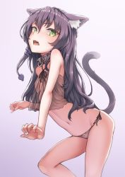 Rule 34 | 10s, 1girl, animal ear fluff, animal ears, bad id, bad pixiv id, bare arms, bare shoulders, blush, brown camisole, brown panties, camisole, cat ears, cat girl, cat tail, collar, commentary request, fangs, gradient background, green eyes, hair between eyes, isekai maou to shoukan shoujo no dorei majutsu, long hair, looking at viewer, navel, open mouth, panties, purple background, purple hair, rem galleu, ryuinu, see-through, side-tie panties, solo, standing, standing on one leg, tail, tail raised, underwear, underwear only, very long hair