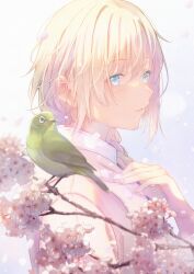 Rule 34 | 1girl, animal, bird, blonde hair, blue eyes, blurry, blurry foreground, braid, branch, cherry blossoms, commentary request, depth of field, flower, from side, fujiwara mizuki, hair between eyes, hair over shoulder, hand up, highres, jacket, long hair, looking at viewer, looking to the side, original, parted lips, petals, pink jacket, single braid, solo, white flower