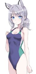 Rule 34 | 1girl, animal ear fluff, animal ears, blue archive, blue eyes, breasts, collarbone, competition swimsuit, cowboy shot, cross hair ornament, grey hair, hair ornament, halo, kumadano, low ponytail, medium hair, mismatched pupils, one-piece swimsuit, shiroko (blue archive), shiroko (swimsuit) (blue archive), simple background, small breasts, solo, standing, swimsuit, white background