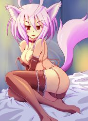 Rule 34 | 1girl, animal ears, ass, bad id, bad pixiv id, bare shoulders, bed, bed sheet, bikini, blush, breasts, brown bikini, brown thighhighs, choker, cleavage, collar, elbow gloves, fox ears, fox tail, gloves, light purple hair, looking at viewer, lying, off shoulder, on side, original, red eyes, short hair, solo, strap slip, swimsuit, tail, thighhighs, untied, x.x