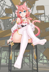 Rule 34 | 1girl, absurdres, animal ears, blue eyes, breasts, cat ears, cat tail, chair, chinese commentary, classroom, closed mouth, commentary request, convenient leg, crossed legs, desk, detached collar, detached sleeves, dress, eyelashes, feet, frilled dress, frills, hair ornament, hand up, highres, indie virtual youtuber, indoors, leaning back, legs, long hair, looking at viewer, nail polish, no shoes, on desk, pink dress, pink hair, pink nails, sakurada hane, school chair, school desk, shadow, shiny skin, short dress, sidelocks, sitting, small breasts, soles, solo, tail, thighhighs, thighs, toes, variant set, virtual youtuber, white thighhighs, xo (xo17800108)