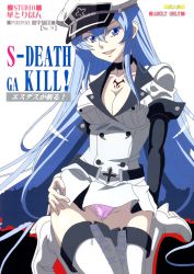Rule 34 | 10s, 1girl, akame ga kill!, artist request, breasts, cameltoe, cleavage, colored eyelashes, esdeath, high heels, highres, panties, tattoo, thighhighs, underwear