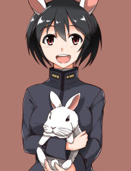Rule 34 | 10s, 1girl, animal ears, black hair, blush, brave witches, happy, highres, hiroshi (hunter-of-kct), holding, looking at viewer, military, military uniform, open mouth, rabbit, rabbit ears, rabbit girl, red eyes, shimohara sadako, short hair, simple background, smile, solo, strike witches, uniform, upper body, world witches series