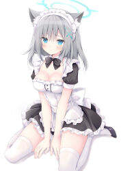 Rule 34 | 1girl, absurdres, alternate costume, animal ears, apron, black dress, black footwear, blue archive, blue eyes, blue halo, blush, breasts, closed mouth, cross hair ornament, dress, enmaided, fingernails, frilled apron, frilled dress, frills, full body, grey hair, hair between eyes, hair ornament, halo, highres, korie riko, maid, maid apron, maid headdress, medium breasts, medium hair, shiroko (blue archive), shoes, short sleeves, simple background, sitting, solo, thighhighs, wariza, white apron, white background, white thighhighs, wolf ears