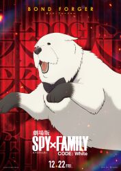 Rule 34 | absurdres, black bow, black bowtie, bond (spy x family), bow, bowtie, character name, copyright name, dog, english text, great pyrenees, highres, no humans, official art, open mouth, promotional art, red curtains, release date, solo, spy x family, spy x family code: white, teeth, watermark, white dog