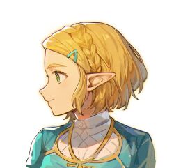Rule 34 | 1girl, blush, braid, closed mouth, crown braid, green eyes, green shirt, hair ornament, hairclip, highres, looking to the side, nintendo, parted bangs, portrait, princess zelda, profile, shirt, simple background, smile, solo, the legend of zelda, the legend of zelda: tears of the kingdom, white background, wufaxianshi cnd