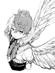 Rule 34 | 1girl, animal, animal on head, bird, bird on head, bird wings, chick, closed mouth, commentary request, cropped torso, feathered wings, greyscale, hair between eyes, looking at viewer, monochrome, multicolored hair, naegi (naegidokoro), niwatari kutaka, on head, puffy short sleeves, puffy sleeves, shirt, short sleeves, sidelocks, simple background, smile, solo, touhou, two-tone hair, upper body, white background, wings