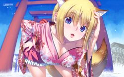 Rule 34 | 1girl, animal ears, artist name, bent over, blonde hair, blue eyes, breasts, cleavage, collarbone, company name, cowboy shot, floral print, fox ears, fox tail, game-style, hand on own hip, hand on own head, highres, japanese clothes, kimono, kimono skirt, koume keito, leaning forward, long hair, long sleeves, looking at viewer, medium breasts, mountain, multiple torii, off shoulder, open mouth, original, outdoors, parted lips, smile, solo, tail, torii, tree, wallpaper, water, watermark, web address, wide sleeves