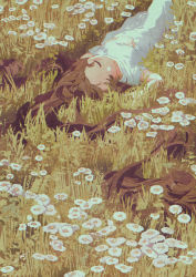 Rule 34 | 1girl, blush, brown hair, closed mouth, daisy, dress, closed eyes, field, flower, flower field, grass, highres, long hair, lying, on back, original, plant, potg (piotegu), short sleeves, sleeping, solo, very long hair, white dress, white flower