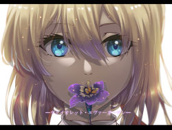 Rule 34 | 1043990293, 10s, 1girl, blonde hair, blue eyes, character name, close-up, copyright name, covered mouth, flower, hair between eyes, hair intakes, letterboxed, looking at viewer, portrait, solo, violet (flower), violet evergarden, violet evergarden (series)