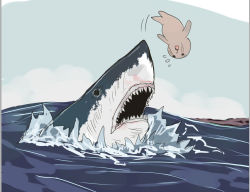 Rule 34 | airborne, animal, fish, momings, ocean, open mouth, seal (animal), shark, sky, teeth, water, waving